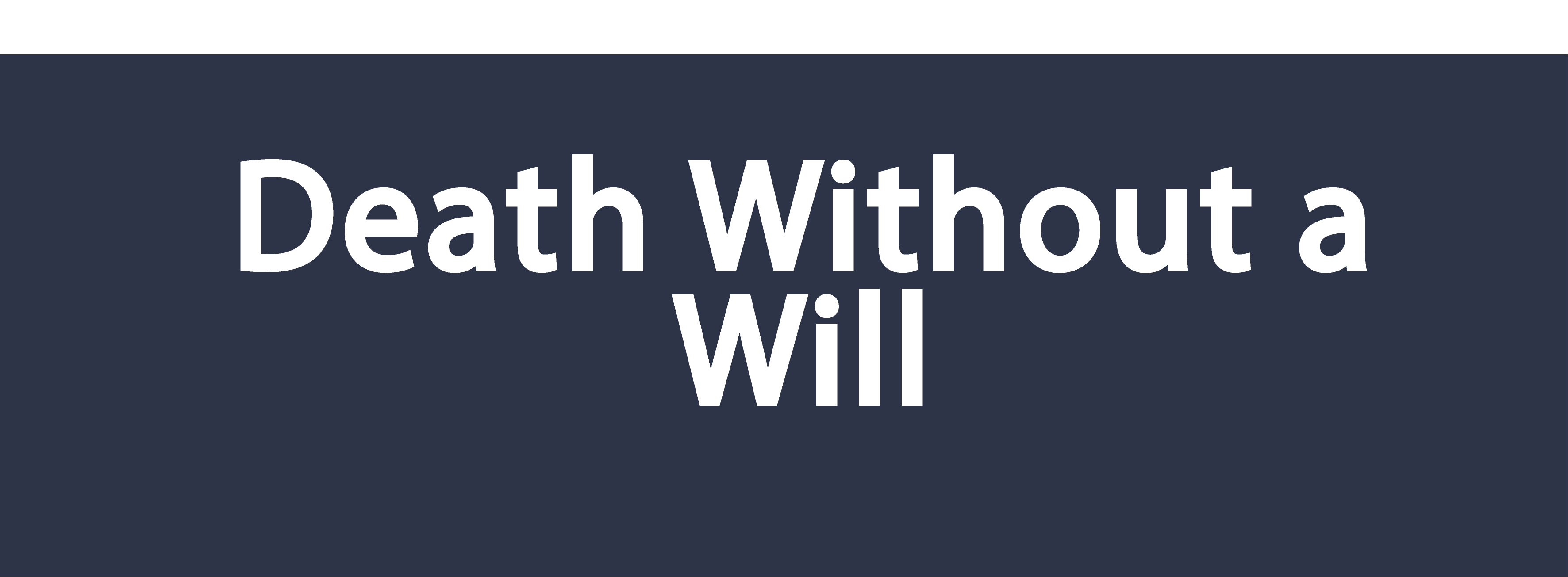 Death Without a Will in Texas (2025)